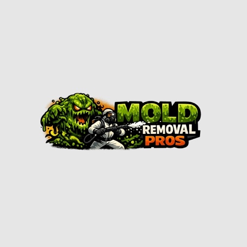 Mold Removal Pros Longmont