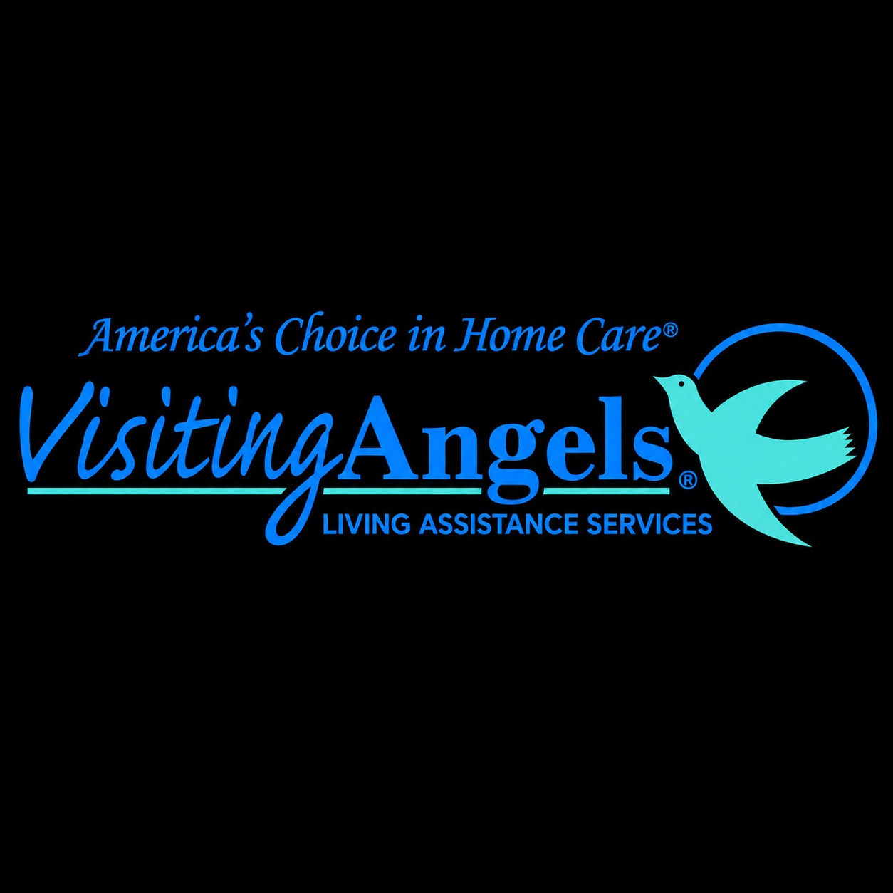 Visiting Angels Senior Home Care