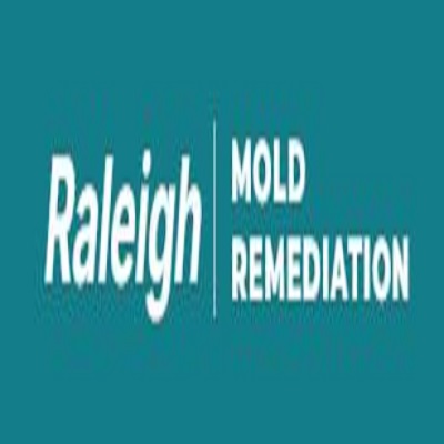 Raleigh Mold Remediation Pros