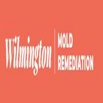 Wilmington Mold Remediation Service