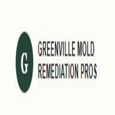 Greenville Mold Remediation Pros
