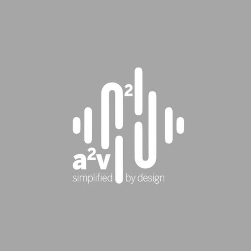 a2v consulting group