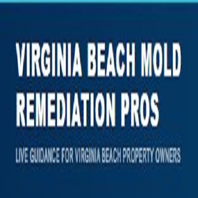 Virginia Beach Mold Remediation Pros