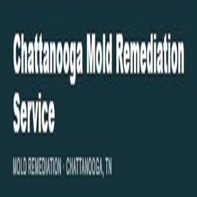 Chattanooga Mold Remediation Service