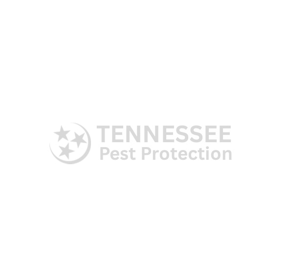 Tennessee Pest Protection