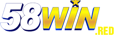 Nhà Cái  58WIN