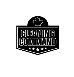 Cleaning Command