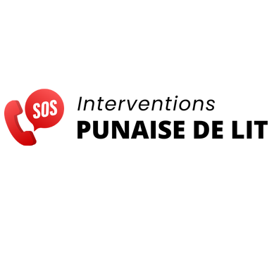 Interventions Punaise De Lit