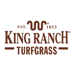 kingranchflturfgrass