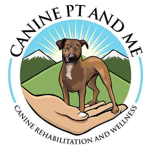 ccltearindogs1