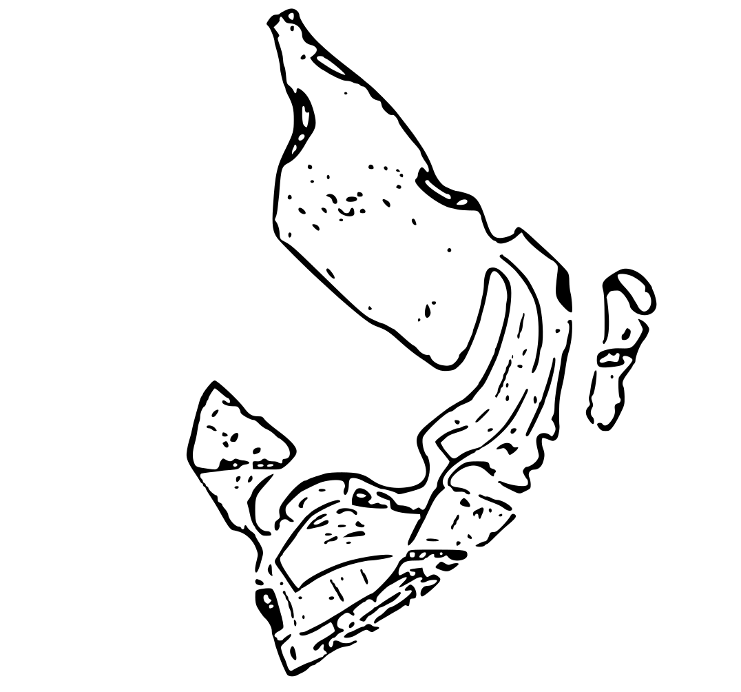 Dubai Islands Property