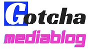 GotchaMediaBlog