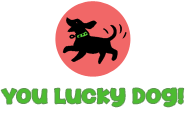 You Lucky Dog