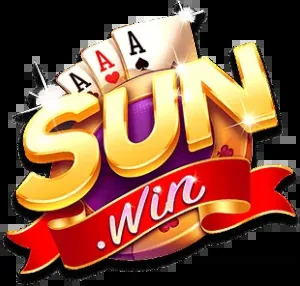 sun01org