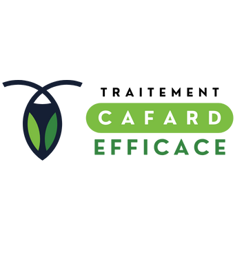 Traitement Cafard Efficace 
