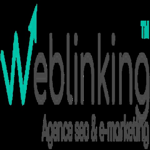WEBLINKING SEO & EMARKETING