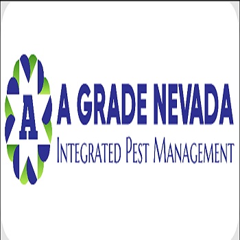 A Grade Nevada