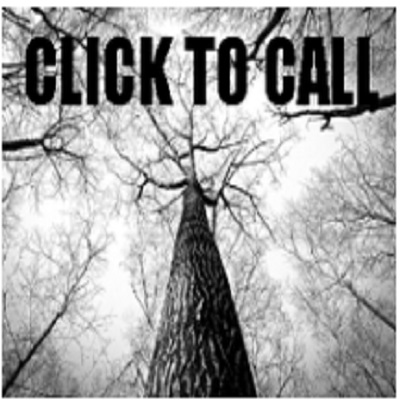 Charlotte Tree Removal