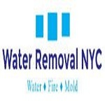 Water Removal NYC