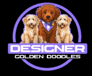 Designer Golden Doodle Puppies