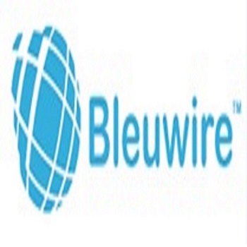 bleuwireitservices bleuwireitservices