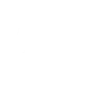 Vision Engineering Ltd