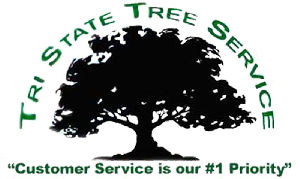 Tri-State Tree Service