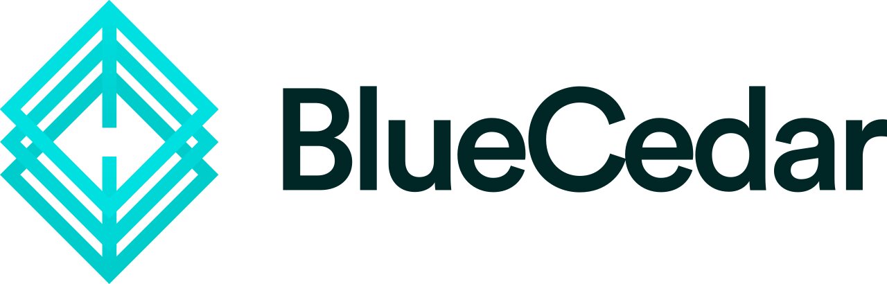 bluecedarsocialmedia 