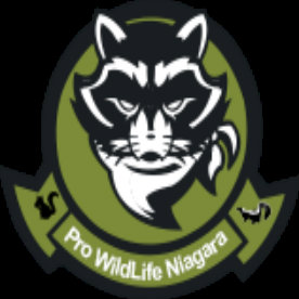 Pro Wildlife Niagara