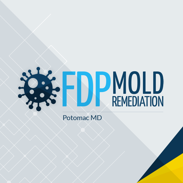 FDP Mold Remediation of Potomac