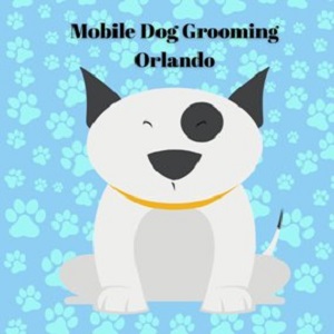 Mobile Dog Grooming Orlando