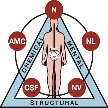 Lighthouse Chiropractic and Applied Kinesiology Center
