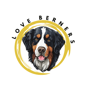 location logo