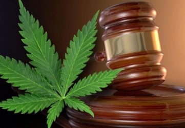 Marijuana - Cannabis Lawyer in Toronto, Ontario Canada - Harrison Jordan Law