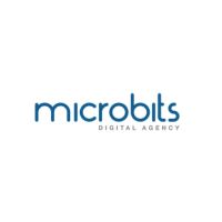Expert Web Design Company in Lebanon - Microbits 