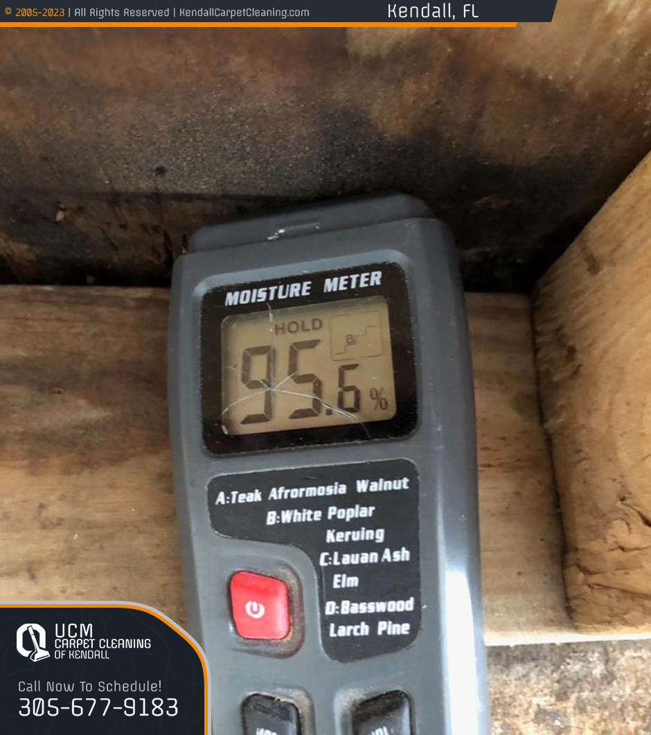 UCM Carpet Cleaning of Kendall