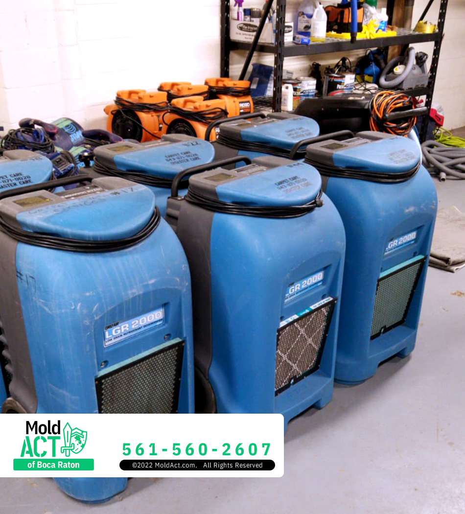 LindaMichel LindaMichel