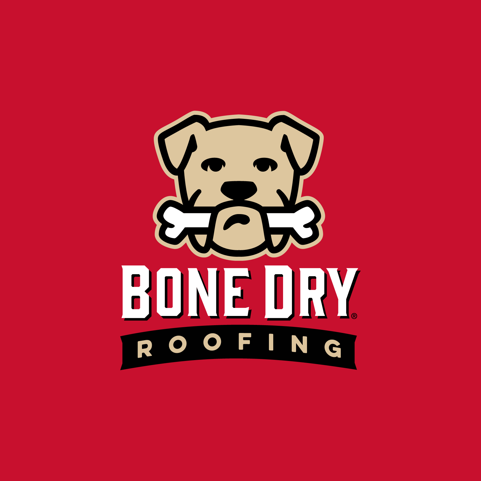 Bone Dry Roofing