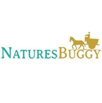 NaturesBuggy