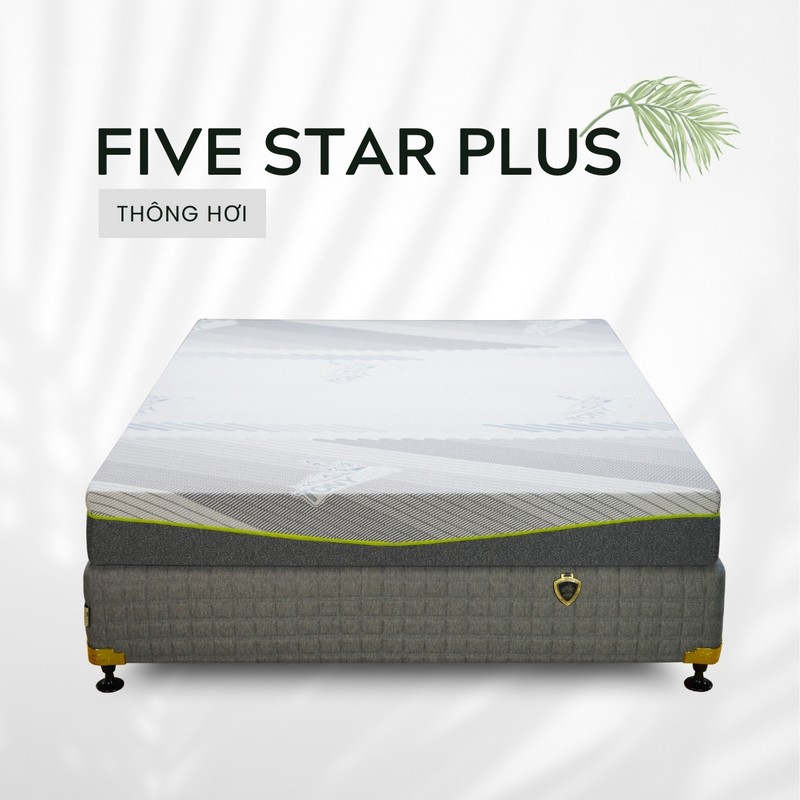 Nệm Thông Hơi - Chăn Ga Gối Nệm TONYBED