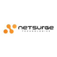Netsurge Technologies