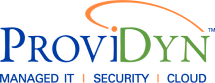 ProviDyn	
