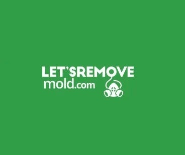 Lets Remove Mold