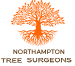 treesurgeonnorthampton