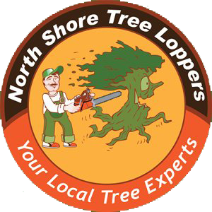 northshoretreeloppers
