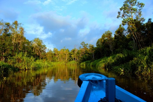VARADA BORNEO: Orangutan Tour Operator & DMC
