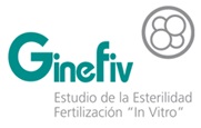 ginefiv02 ginefiv02