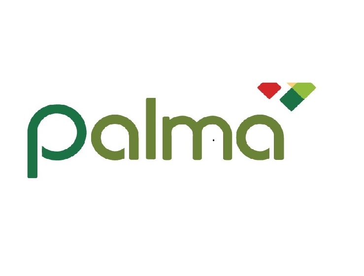 Palma Financial Services