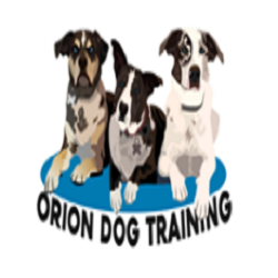 Orion Dog Training