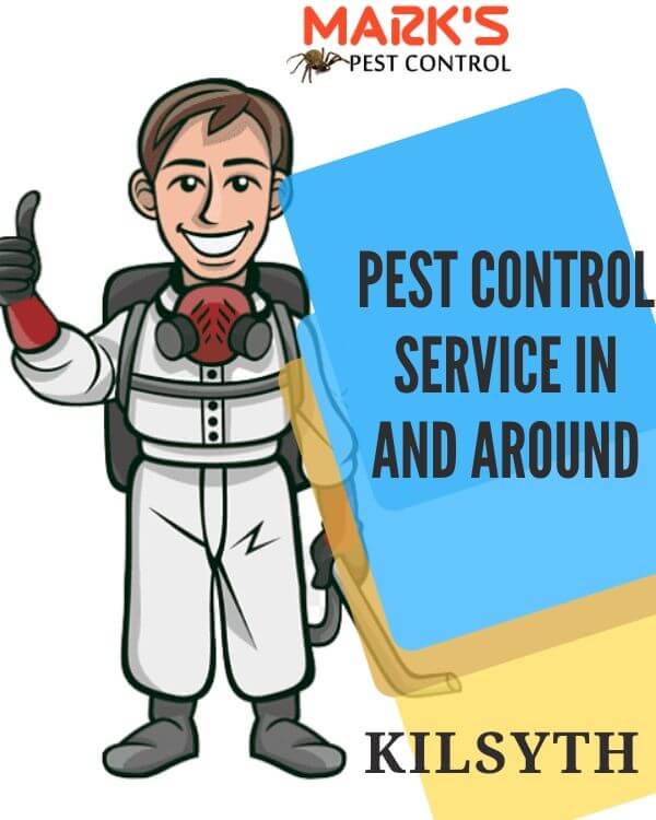 Pest Control Kilsyth